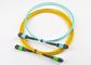 MPO/MTP fiber optic patch cord/cable/jumper supplier