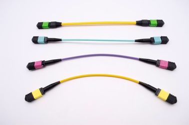 China MPO/MTP fiber optic patch cord/cable/jumper supplier